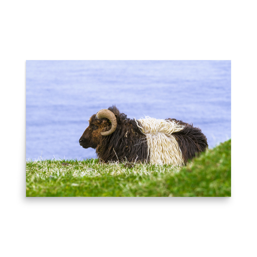Bagge - 24″×36″