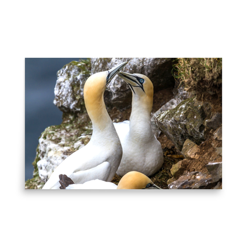 Love is in the air - 24″×36″