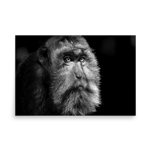 Blind Monkey - 24″×36″