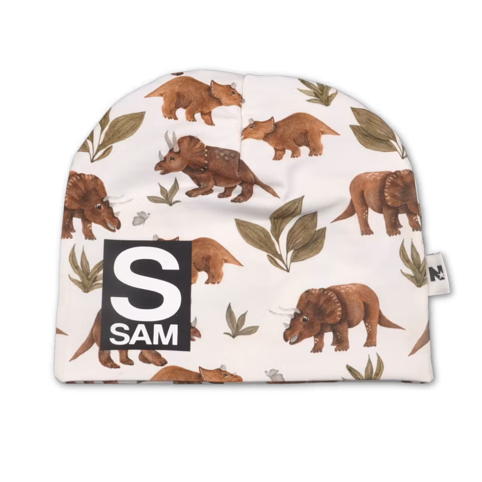 Namnmössa - Dinosaurier (BRUN) - Bokstav och namn