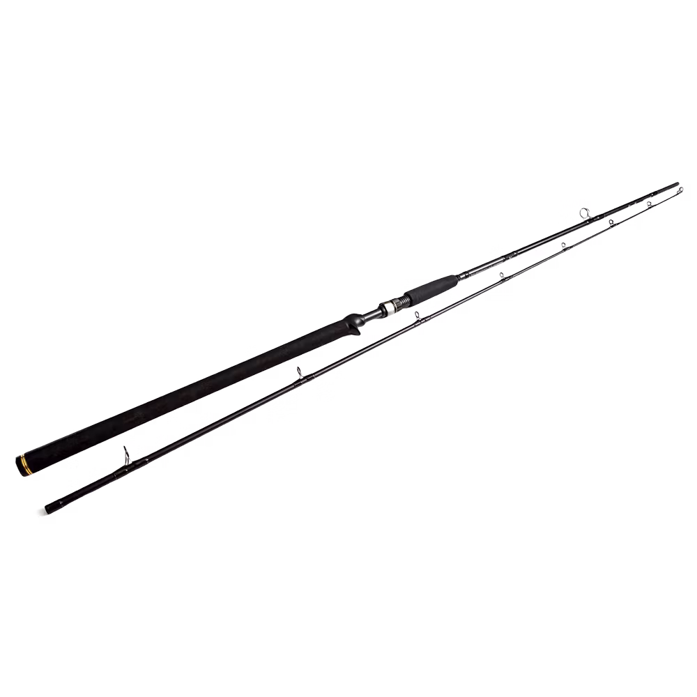 Westin W3 Powercast-T 2nd 8'3"/248CM XH 20-80G 2sec