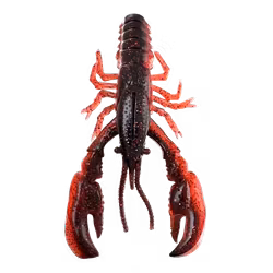 Headbanger RawCraw - 9.5 cm - 4-pack