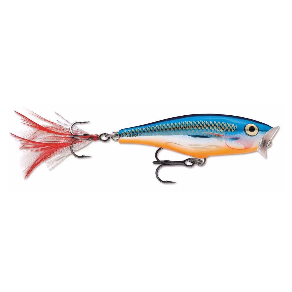 Rapala Skitter Pop 7cm