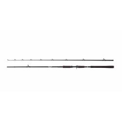 Abu Garcia Beast Pike Casting