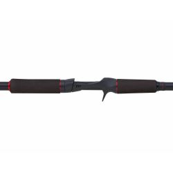 Abu Garcia Beast Pike Casting
