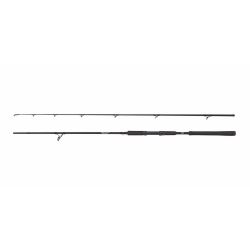 Abu Garcia Beast Pike 842XH 30-110g Spinning