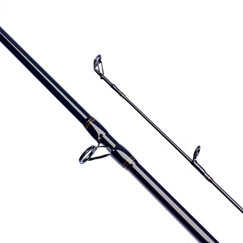 Daiwa Laguna XT Baitcaster