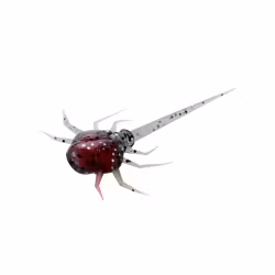 13 FISHING 32mm 6-pack