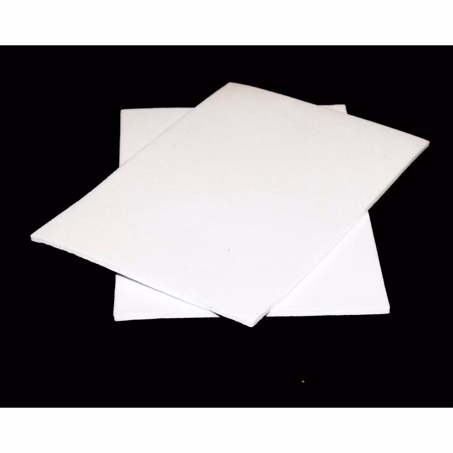 Fly Foam - 2-pack