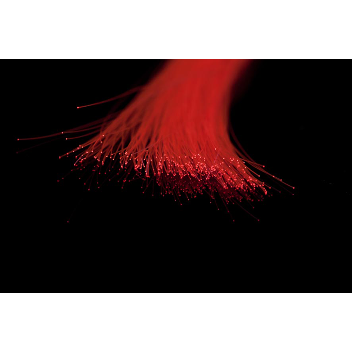 A. Jensen Rizz Fiber
