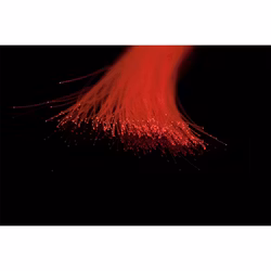 A. Jensen Rizz Fiber