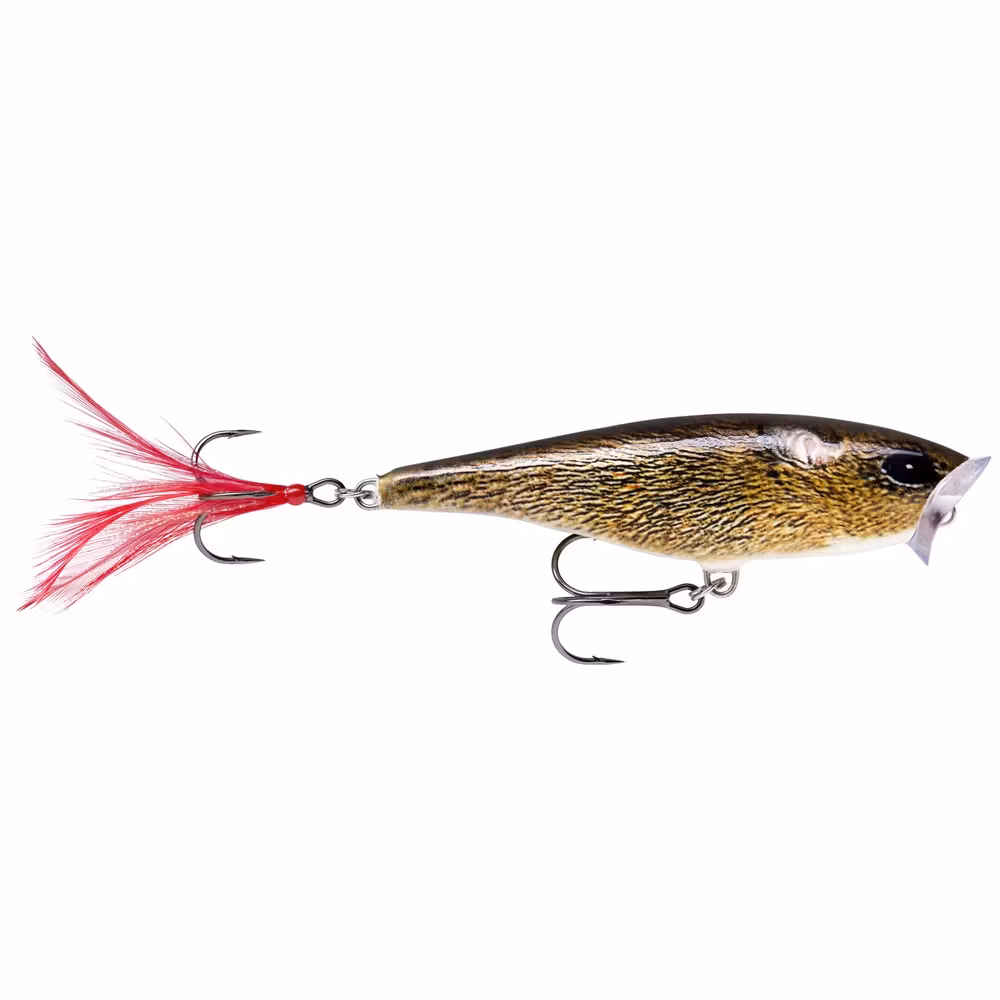 Rapala Skitter Pop 7cm