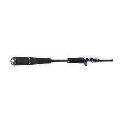 Daiwa Prorex Ags Baitcast 8'3'' 220g Big Allround