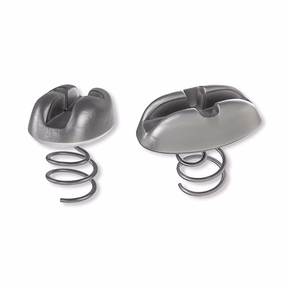 Daiwa Prorex Scew-in vikt