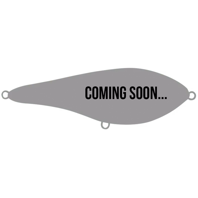 Buster Swim, Slow sink 13cm/65g