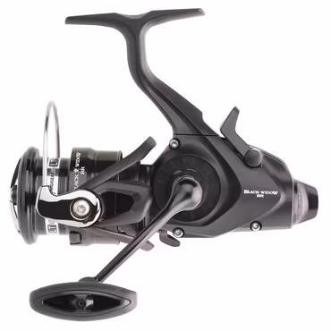 Daiwa 19 Black Widow BR LT 4000-C