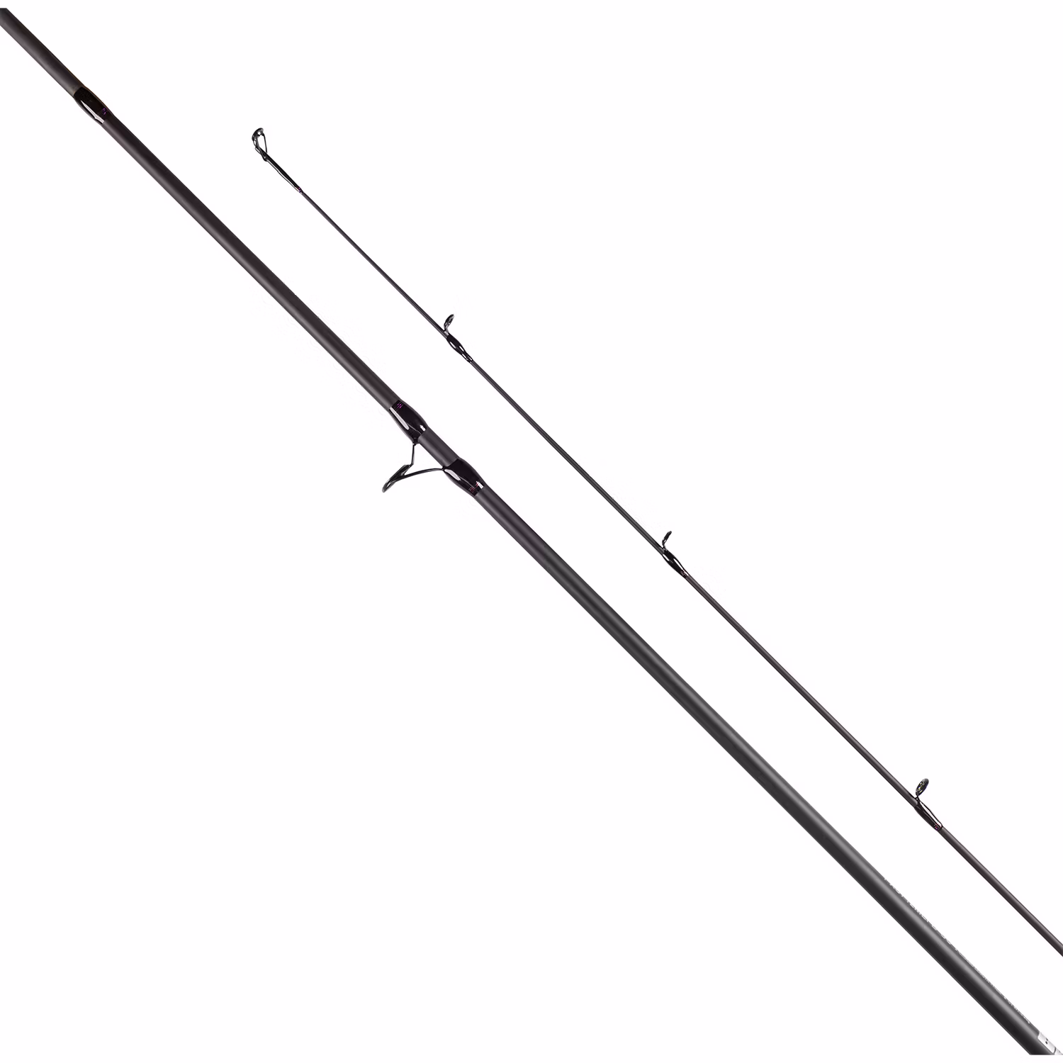 Daiwa Prorex S Baitcast (2026)