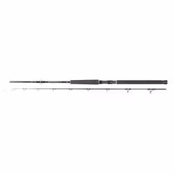 Daiwa SKZ Spin 7'6" 2PC 120-250g