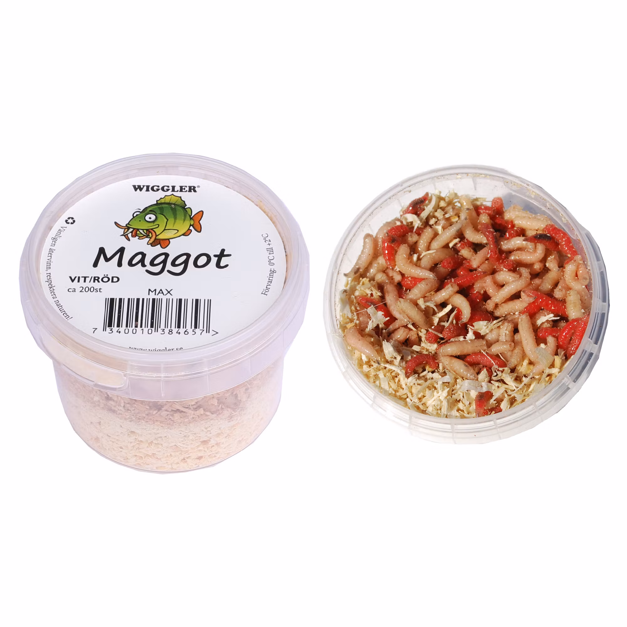Wiggler Maggots Röd/Vit