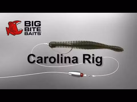 Darts Texas/Carolina Rig Kit