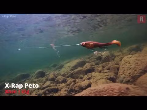 Rapala X-Rap Peto 14cm/39g