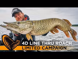 Savage Gear 4D Line Thru Roach 25cm/216g S - Roach