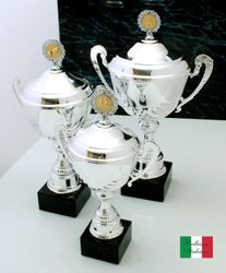 Silverpokal Verona med vinylskylt