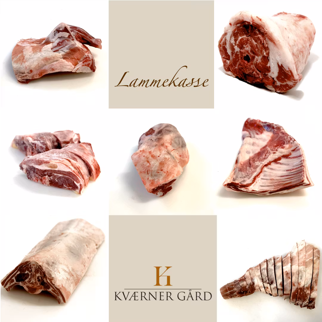 Lammekasse og helt lam