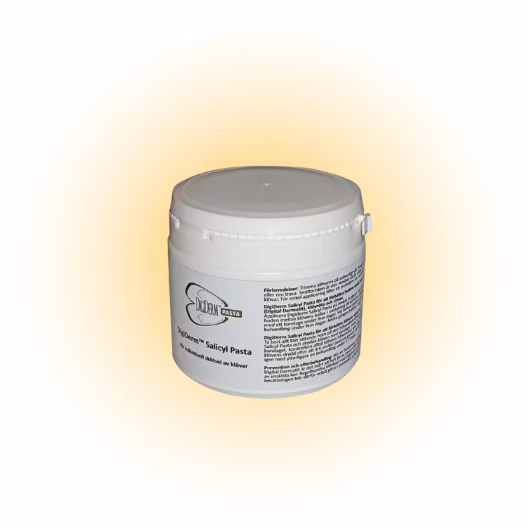 Digiderm salicylpasta 100g/kg 500 ml