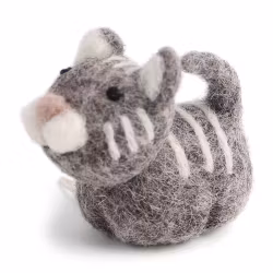Katt Grå