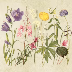 Servetter Ängsblommor