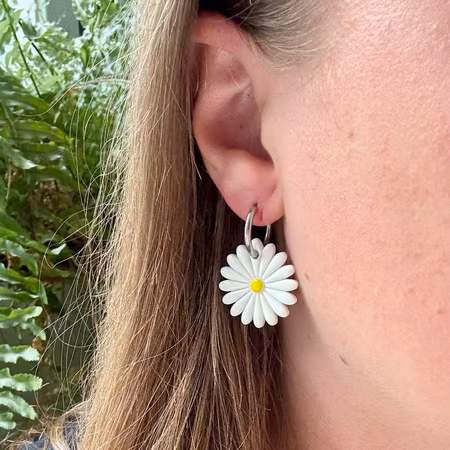 Daisies 2.0
