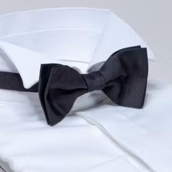 Fluga i siden knuten svart
