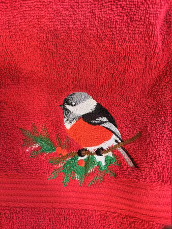 Broderi med domherre