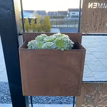 Kruka armeringsnät