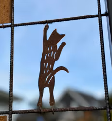 Klättrande katt