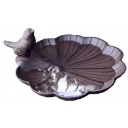 Fågelbad med fågel