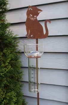 Regnmätare katt