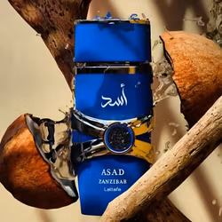 Lattafa Asad Zanzibar EDP 100ml