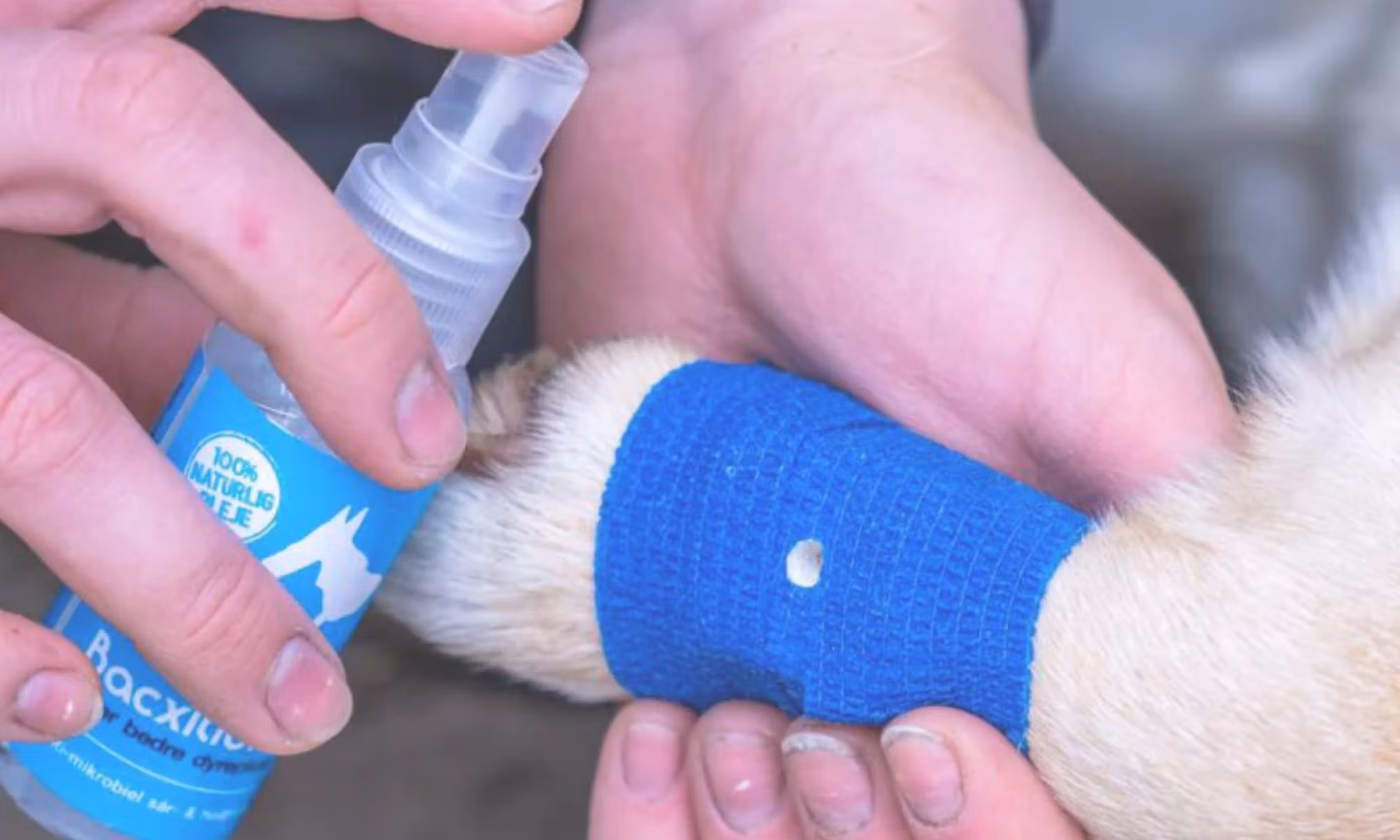 Sårsalve og spray - Statland Vestre