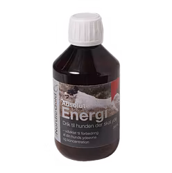 Absolutt energi