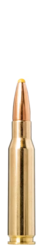 Norma - 30-06 - Plastic Point - 11.0g/180gr - 20/ask