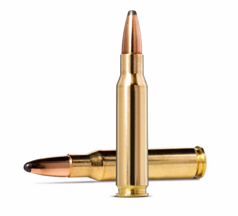 Norma - Whitetail - .30-30 - 9,7g/150gr - 20/ask