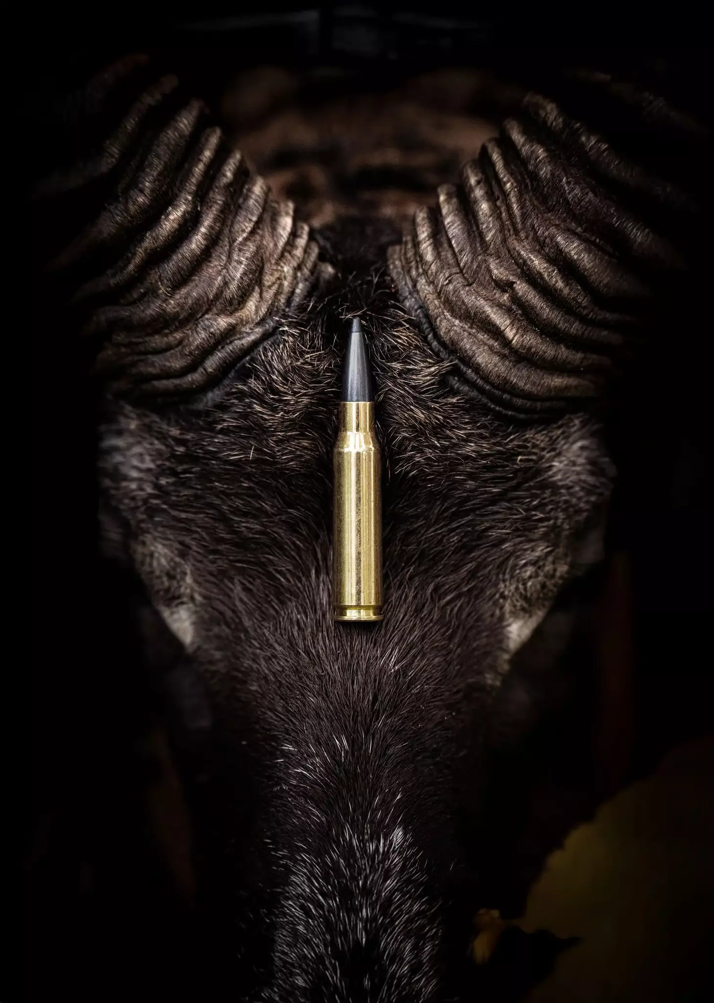 Norma - ODIN - 300 PRC- 11.7g/180gr