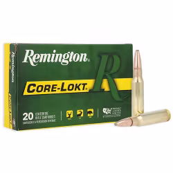 Remington - 308 Win - Core-Lokt - 180gr - 20/Box