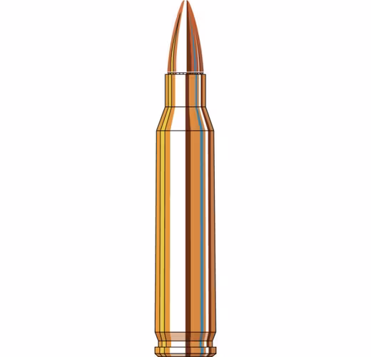 Hornady - Frontier - 5.56 NATO - 62 gr - FMJ - 150/Box