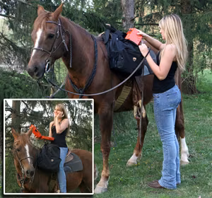 MTM Survivor Dry Box