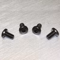 Techwell - Blued Grip Screws - Set of 2