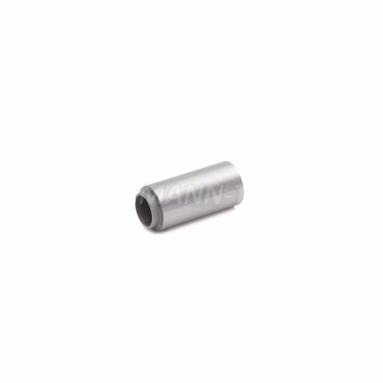 Eemann Tech - Recoil spring plug for 1911/2011