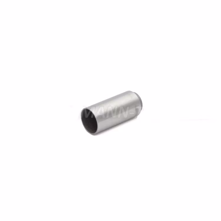 Eemann Tech - Recoil spring plug for 1911/2011